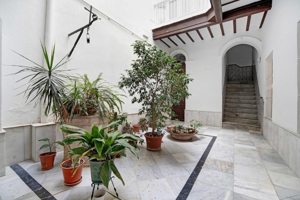 Precioso Alojamiento En Cadiz Junto Al Mercado Екстериор снимка